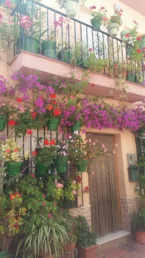 Puerto Deportivo Estepona Eksteriør billede